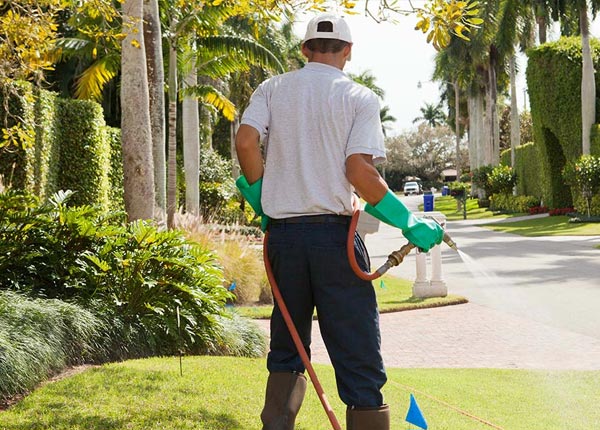 About Glen Allen VA Pest Control Pros
